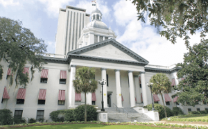 PACKAGE: 8 HOUR SAFE 2025 CONTINUING EDUCATION: FL